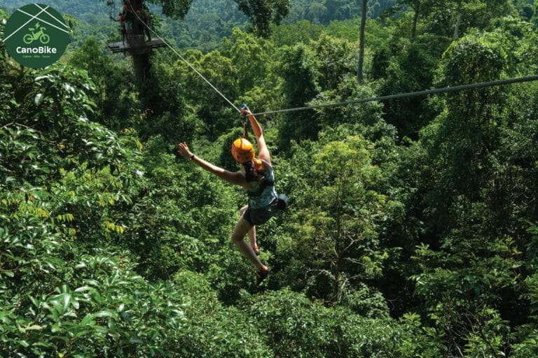 Canopy