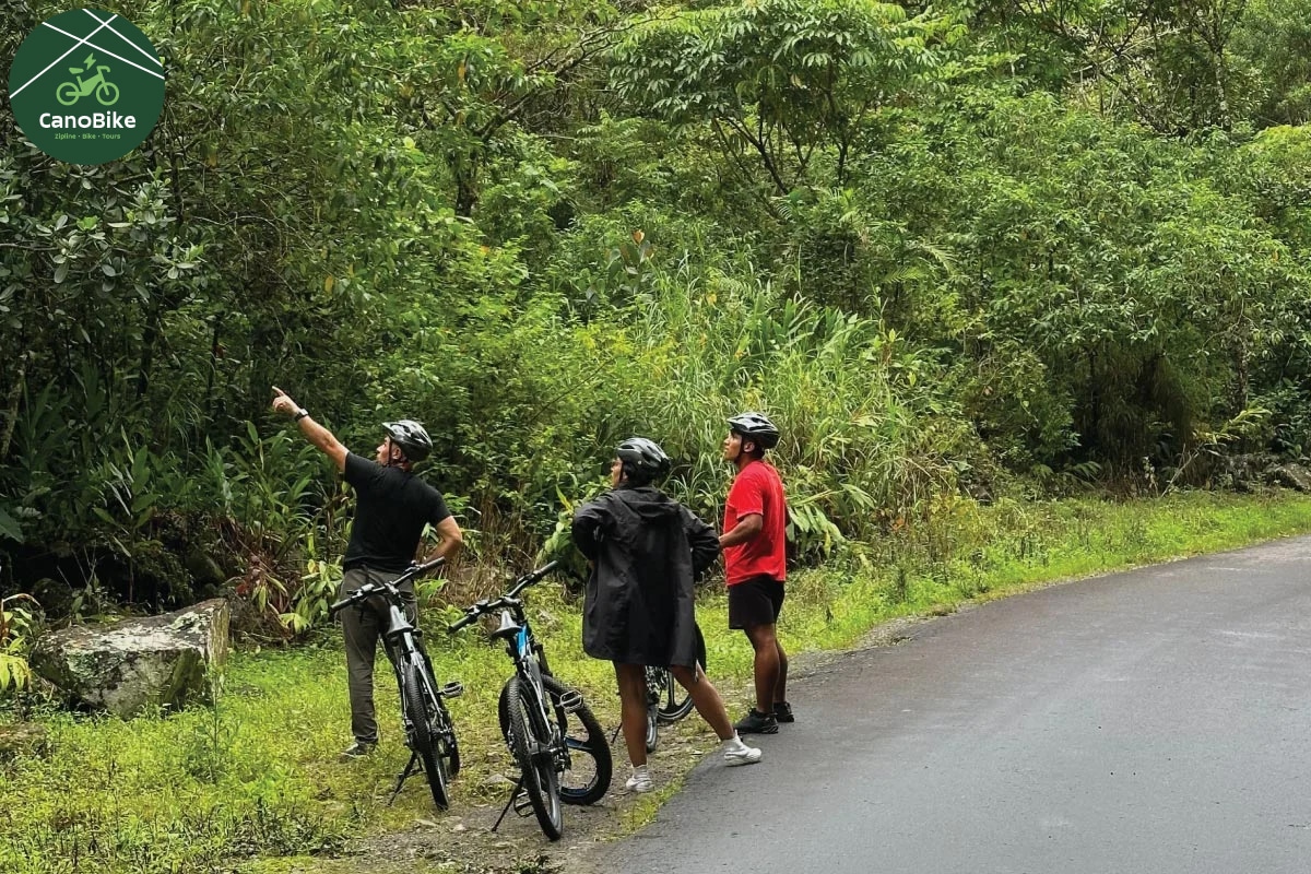 ebike-tour-boquete